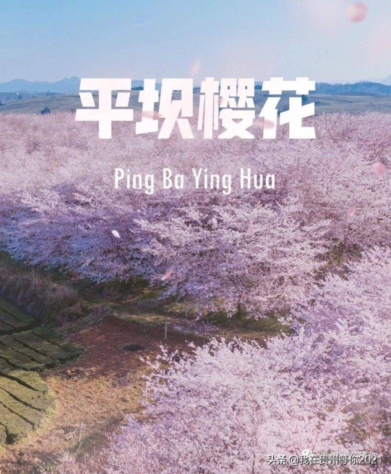 彩虹生日蛋糕